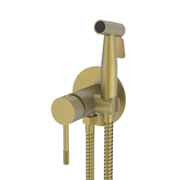 Смеситель с гигиеническим душем встраиваемый Vieir V403553-S золото