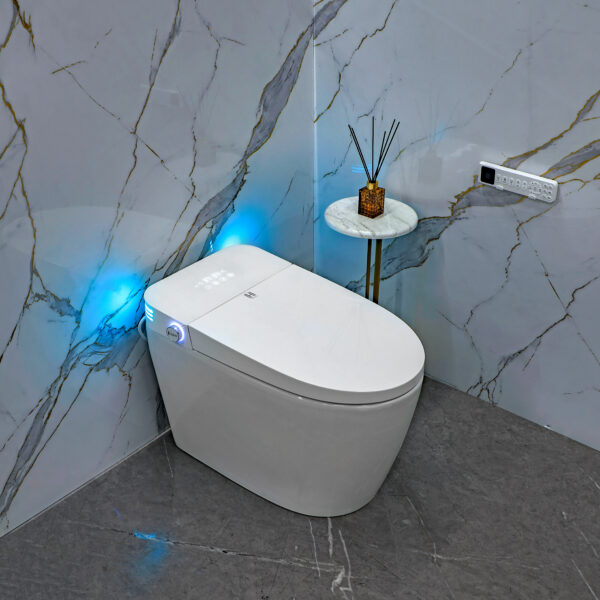 Умный смарт унитаз Hatico Pro EcoZen Напольный Белый (2 встроенных бачка)