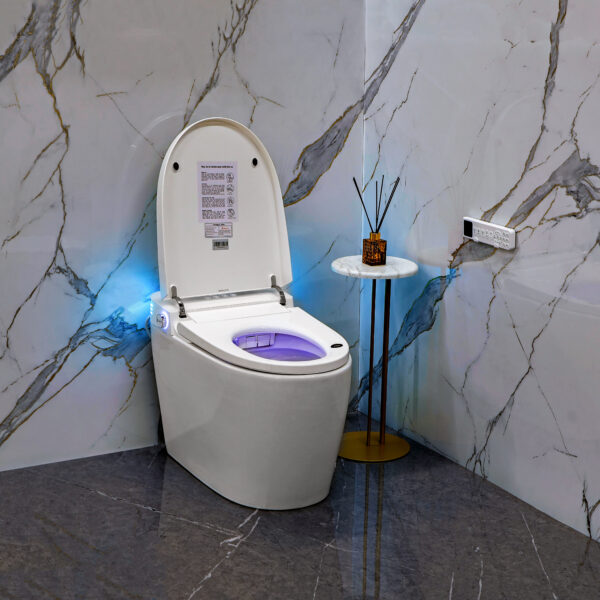 Умный смарт унитаз Hatico Pro EcoZen Напольный Белый (Без бачков)